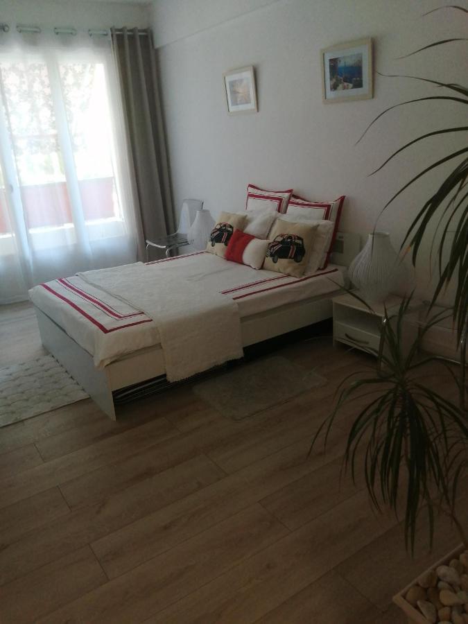 ניס Appartement 5 Minute De La Promenade מראה חיצוני תמונה